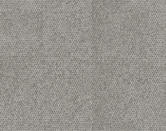[300111146_9] Open Air 404 - 106753 Linen